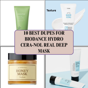 Read more about the article 10 Best Dupes for BIODANCE Hydro Cera-nol Real Deep Mask